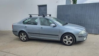 Skoda Octavia with Menabo Tema Steel roof bars