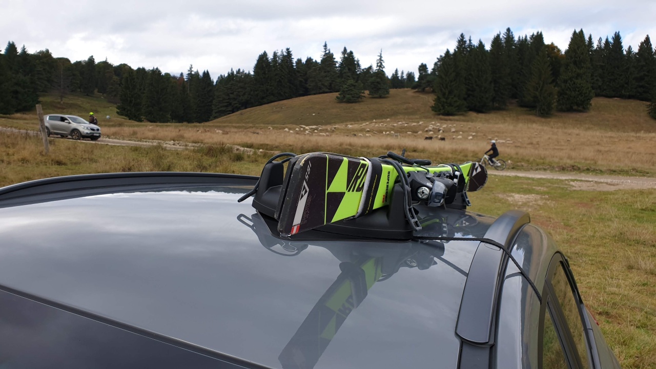 Suport schi Menabo Igloo cu prindere magnetica, 2 perechi ski - 2 | YEO