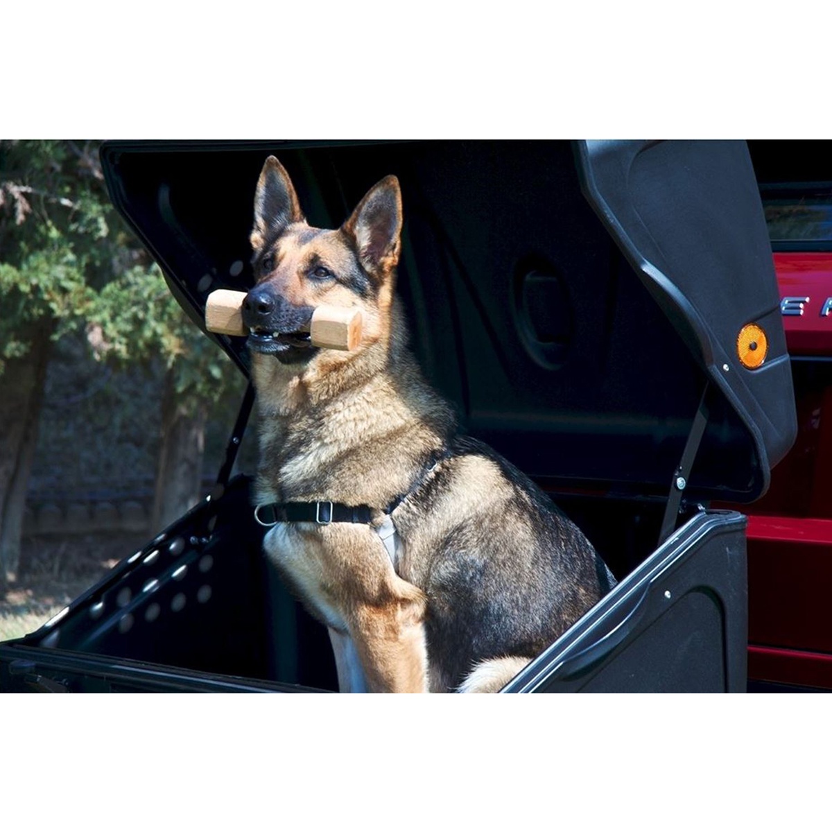 Cutie portbagaj pe carligul de remorcare Towbox V1 DOG Negru - 1 | YEO
