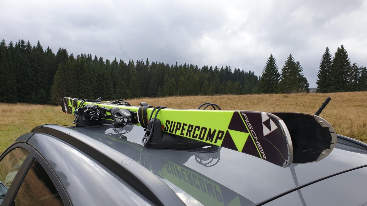 Suport schi Menabo Igloo cu prindere magnetica, 2 perechi ski - 3 | YEO