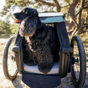 Thule Bexey M 800000