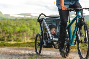 Thule Chariot Cross multisport stroller, Alaska - Img 6