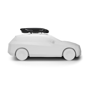 Thule Motion 3 L Low 639300