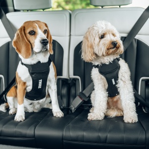 Thule Cappy L 771003