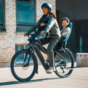 Thule Yepp 2 mini 12041102