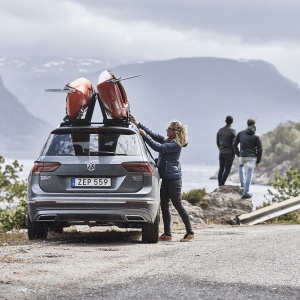 Thule Hull-a-Port Aero 849000