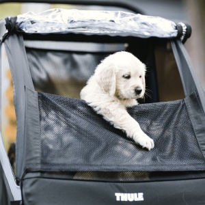 Thule Courier dog trailer kit 20301001