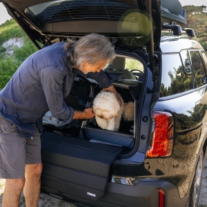Thule Allax threshold compatible M 770013