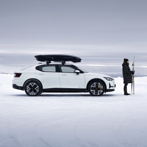 Thule Motion 3 L Low 639300