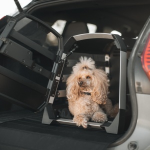 Thule Allax XL Compact 770005