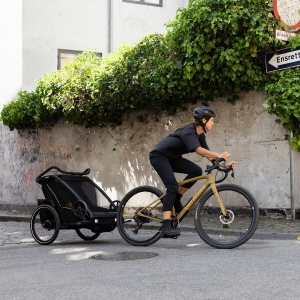 Thule Chariot Sport 2 double 10201031
