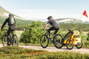 Thule Chariot Sport 1 multisport trailer, Spectra Yellow - Img 6