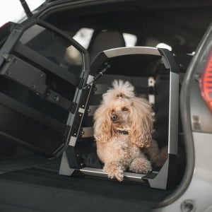 Thule Allax XS 770000