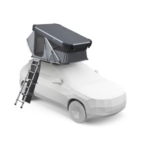 Thule Widesky 901053