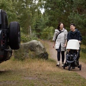 Thule Spring 2 11300252