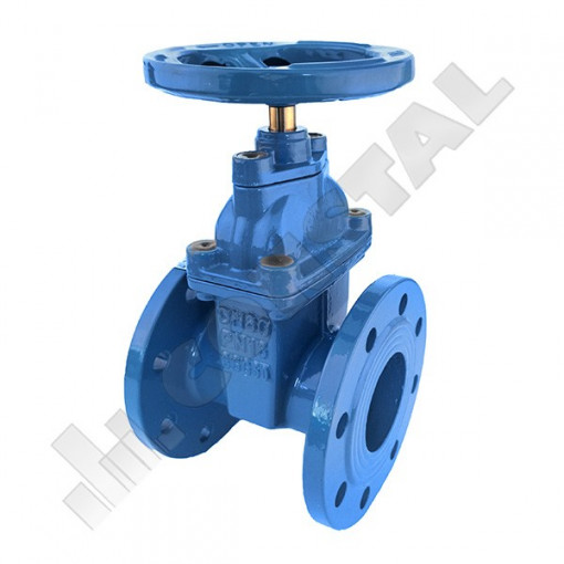 ROBINET SERTAR PANA CORP PLAT CAUCIUCAT PN 16 DN 50 RBT