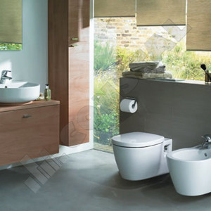 VAS WC SUSPENDAT IDEAL STANDARD CONNECT RIMLESS E817401 - Img 5