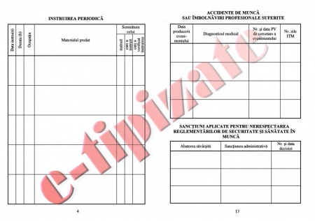 0,96 Lei/ buc - PACHET 500 Fise SSM ( Fise de instruire individuala privind securitatea si sanatatea in munca ) + CADOU 1 PIX SCHNEIDER K15 - Img 5