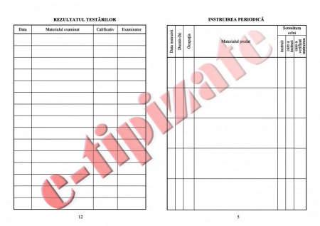 0,96 Lei/ buc - PACHET 500 Fise SSM ( Fise de instruire individuala privind securitatea si sanatatea in munca ) + CADOU 1 PIX SCHNEIDER K15 - Img 6