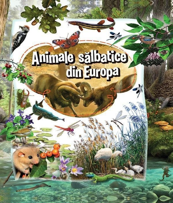 Animale salbatice din Europa