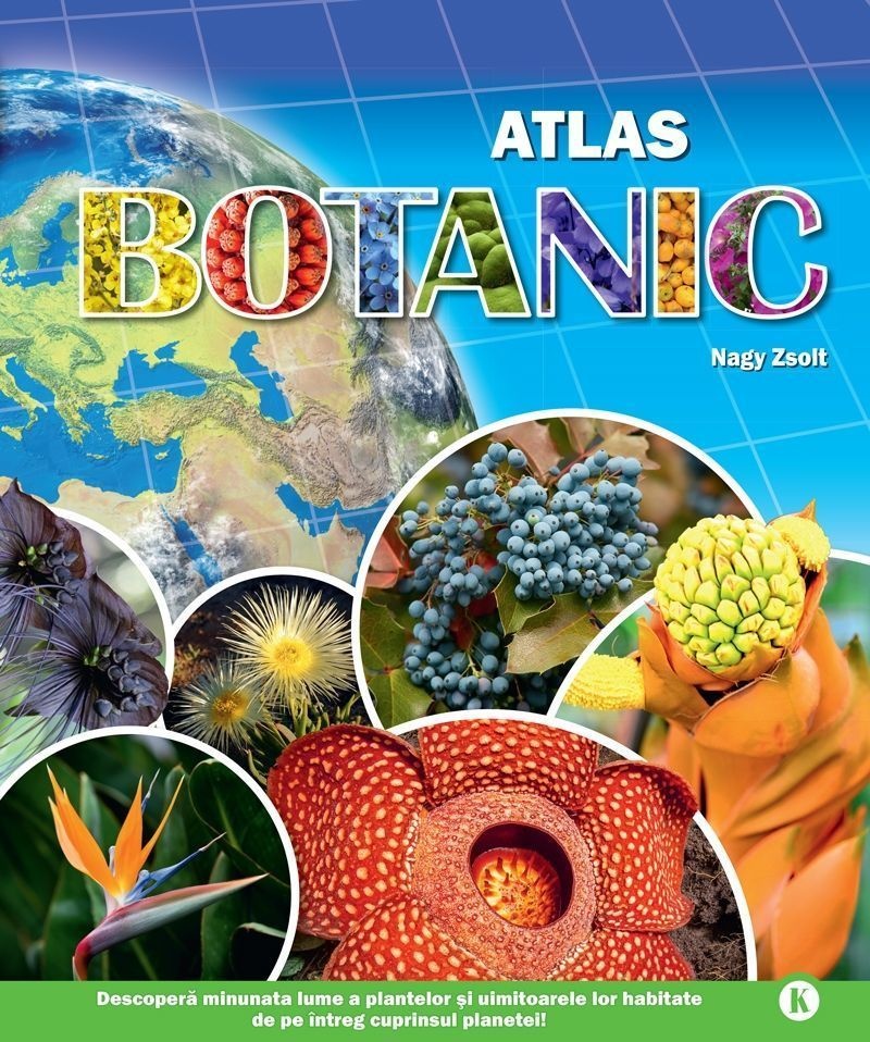Aceasta este imaginea corespunzatoare acestui obiect