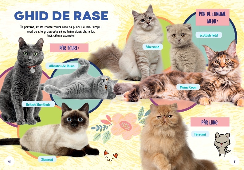 Cartea pisicutei mele - 2 | YEO