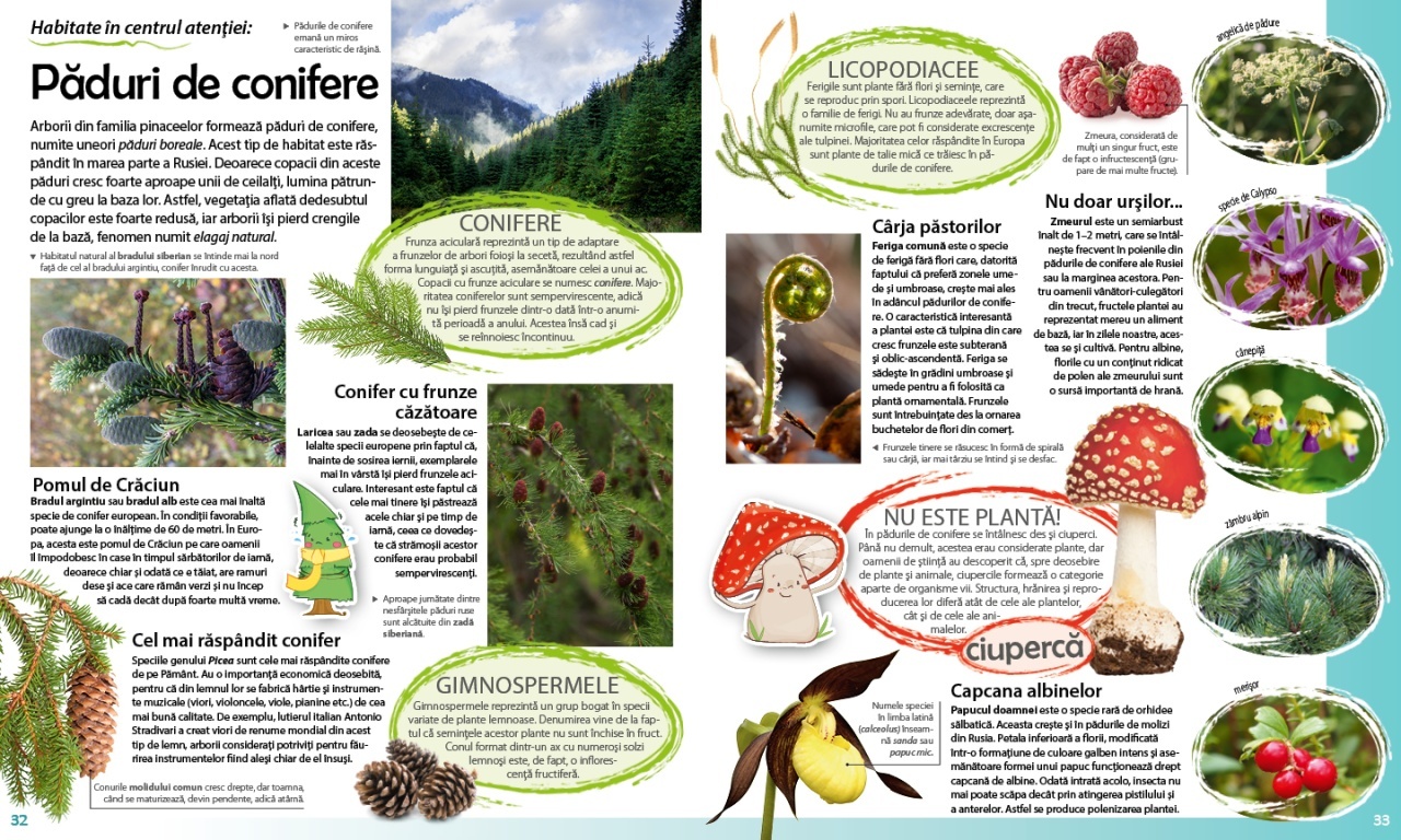 Aceasta este imaginea corespunzatoare acestui obiect