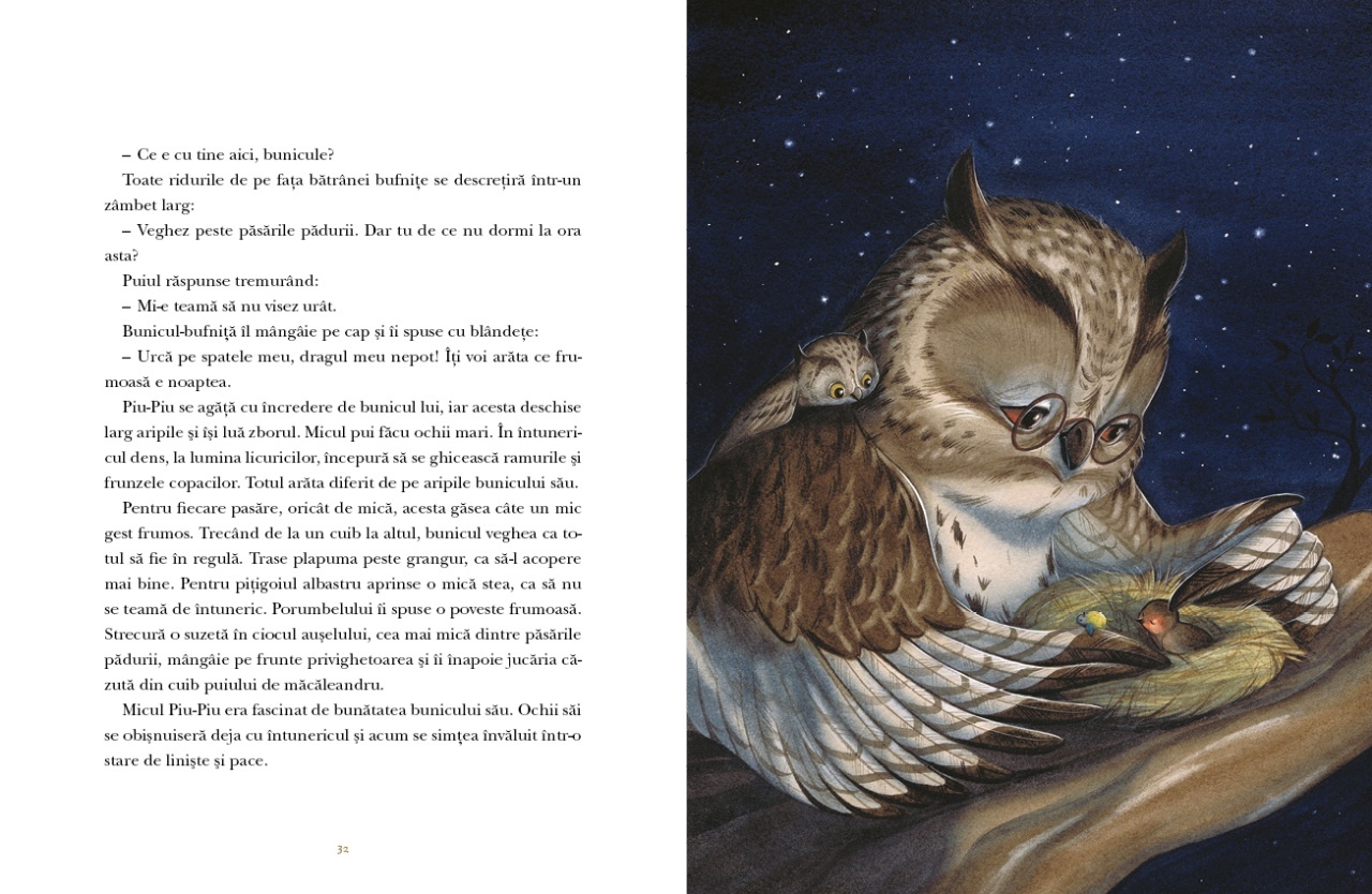 Aceasta este imaginea corespunzatoare acestui obiect