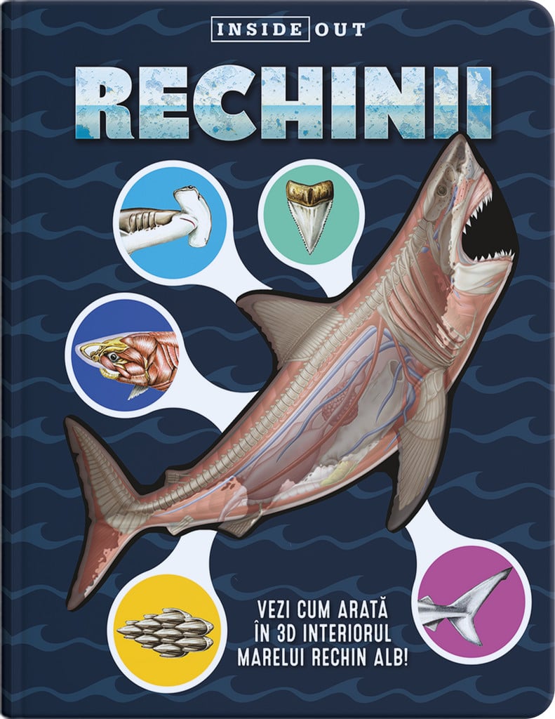 Rechinii - 3D