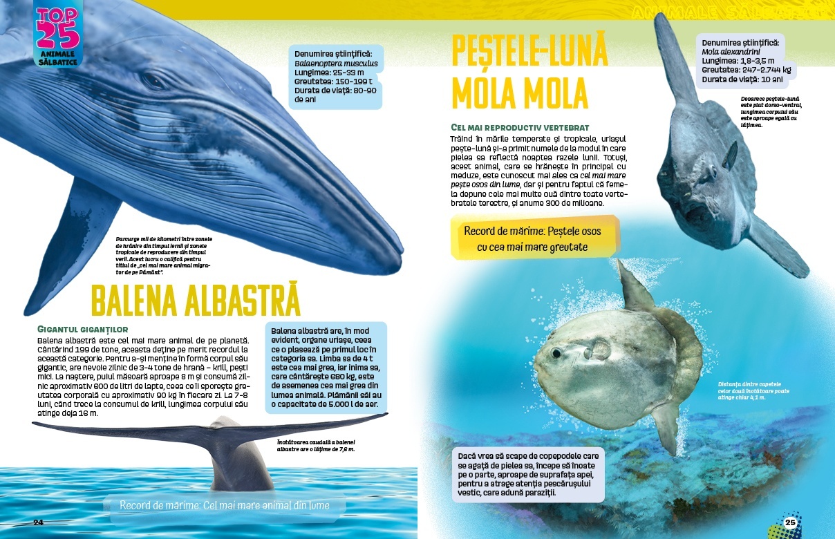Top 25 Animale salbatice – Uriase 3D - 3 | YEO