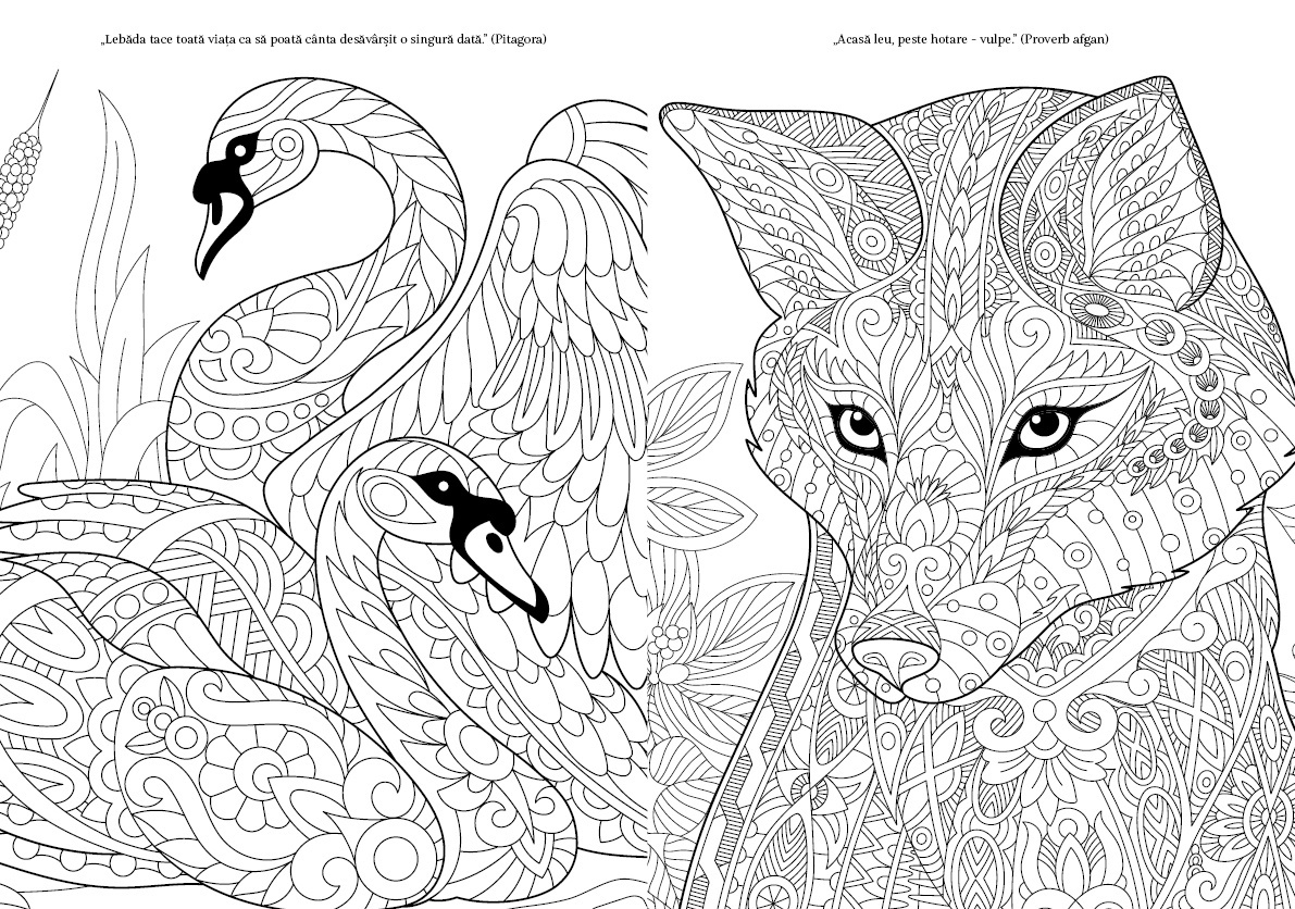 Animale culoare si magie - 2 | YEO