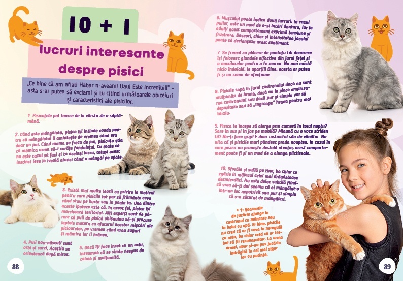 Cartea pisicutei mele - 6 | YEO