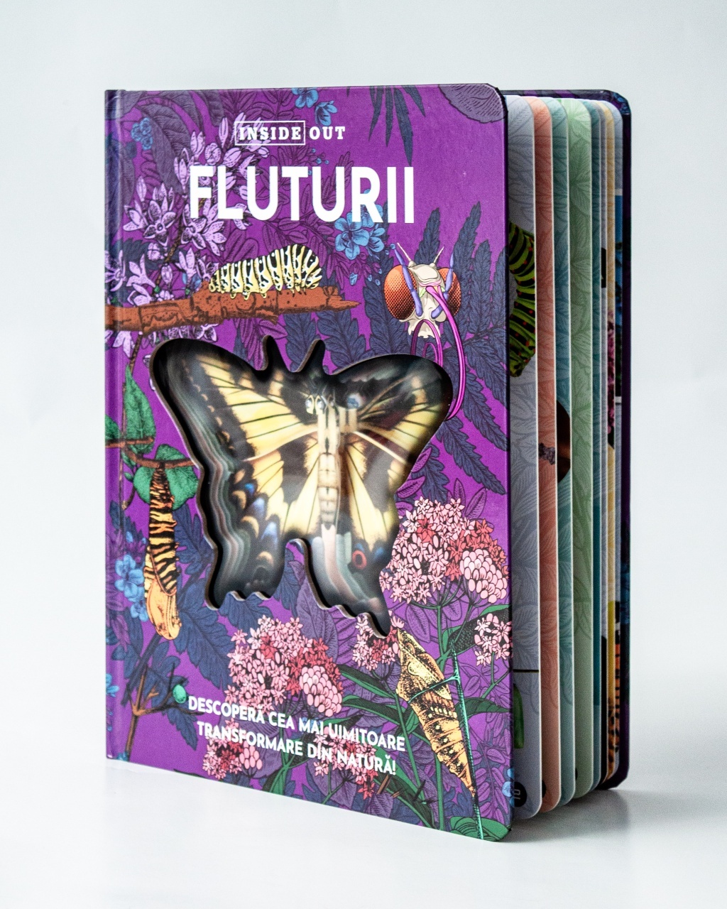 Fluturii – model 3D - 2 | YEO