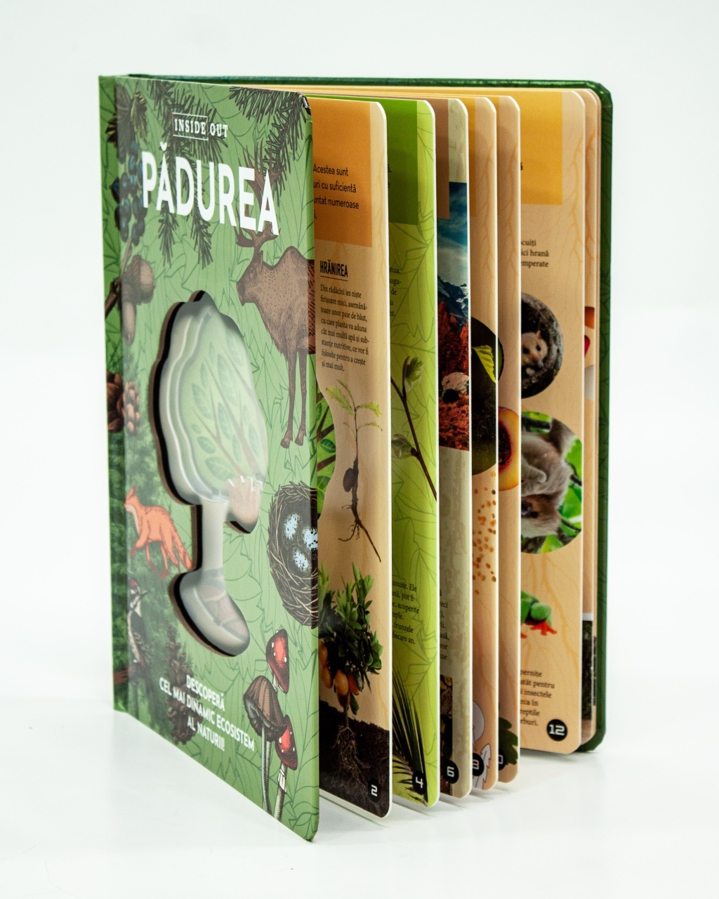 Padurea – model 3D - 2 | YEO