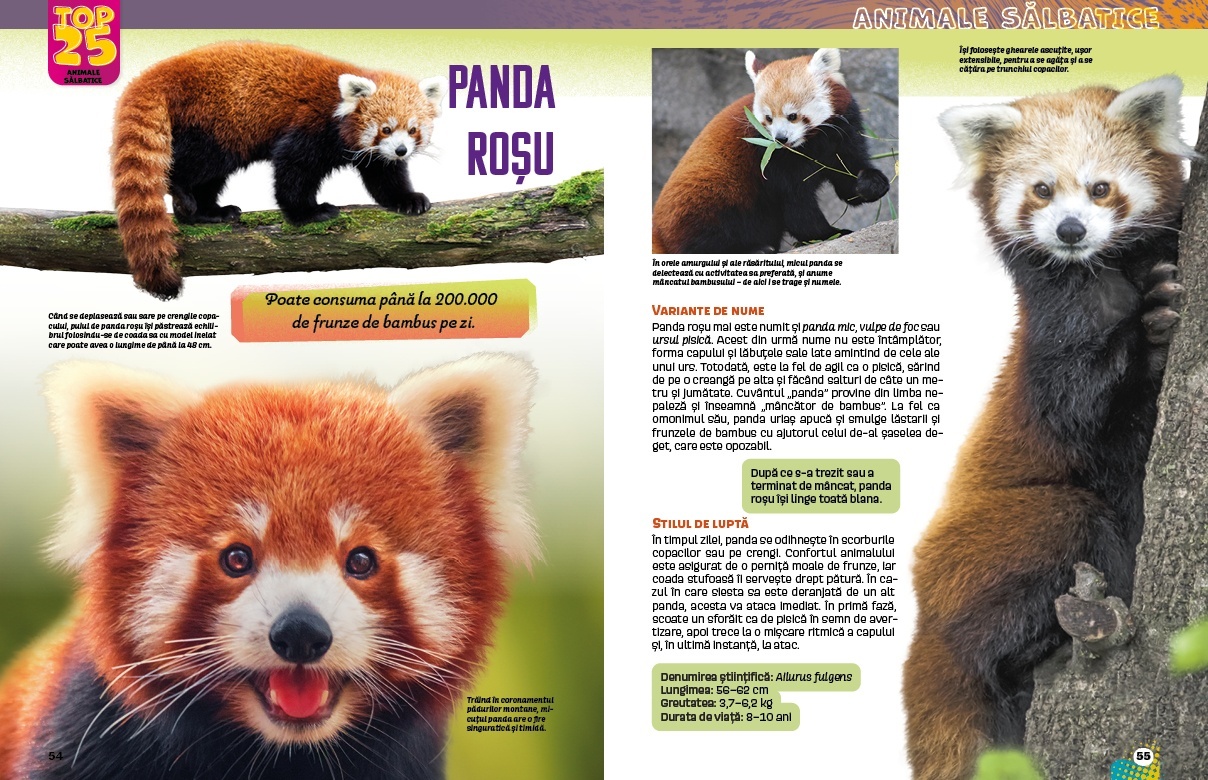 Top 25 Animale salbatice – Spectaculoase 3D - 4 | YEO