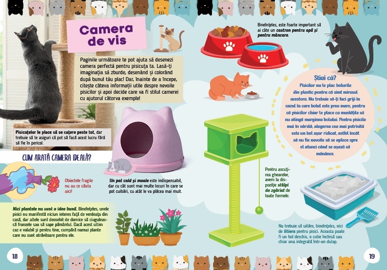 Aceasta este imaginea corespunzatoare acestui obiect