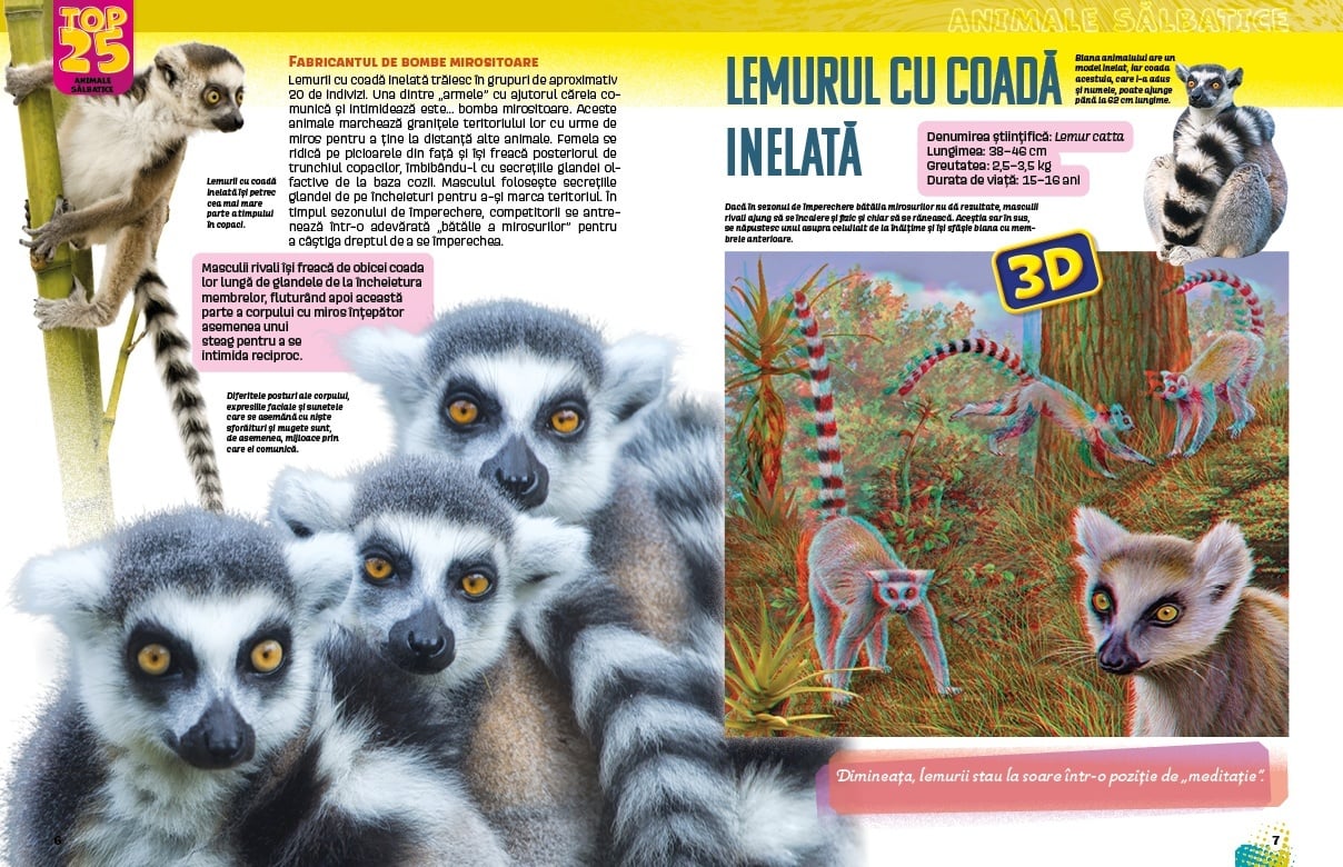 Top 25 Animale salbatice – Spectaculoase 3D - 1 | YEO