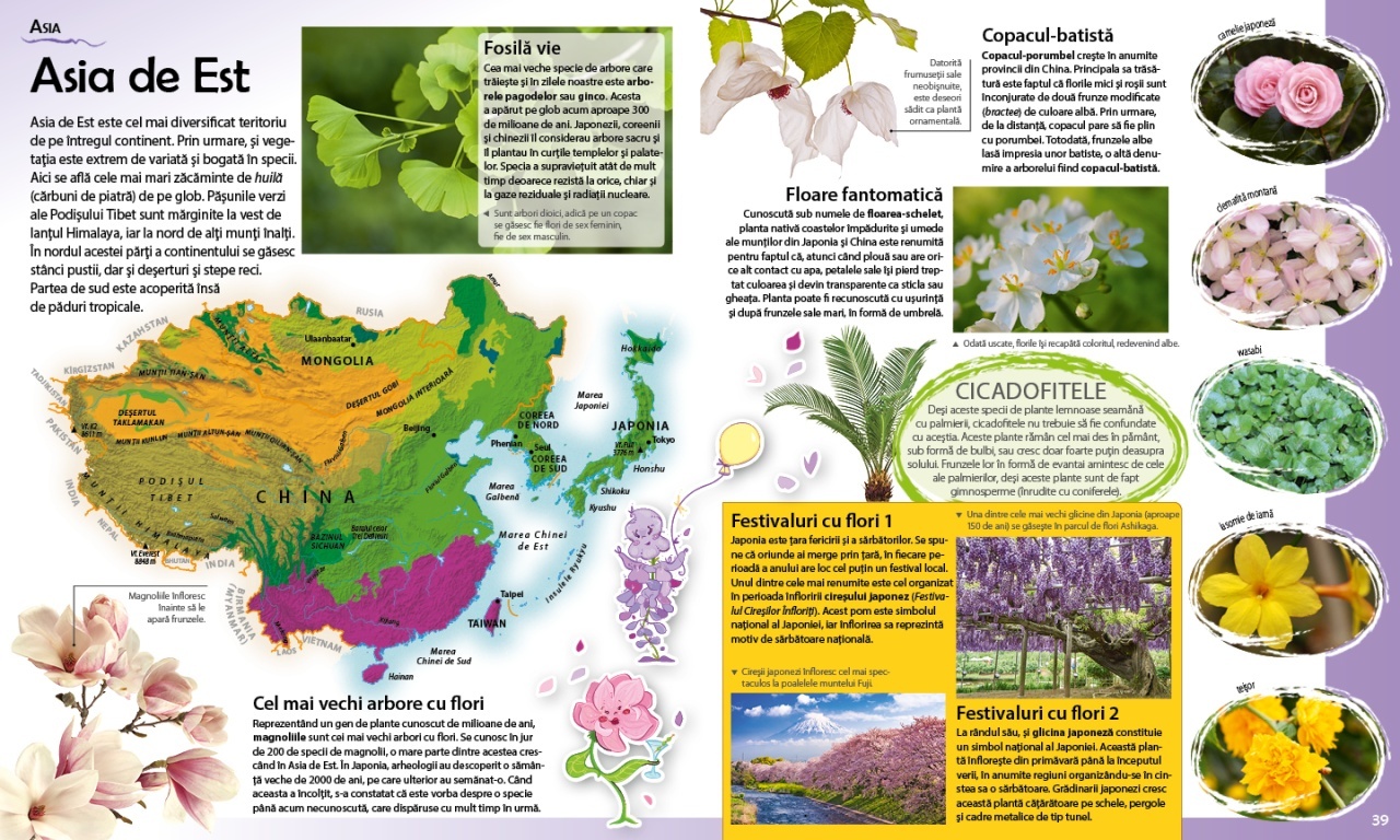 Calatorie in lumea plantelor - 4 | YEO