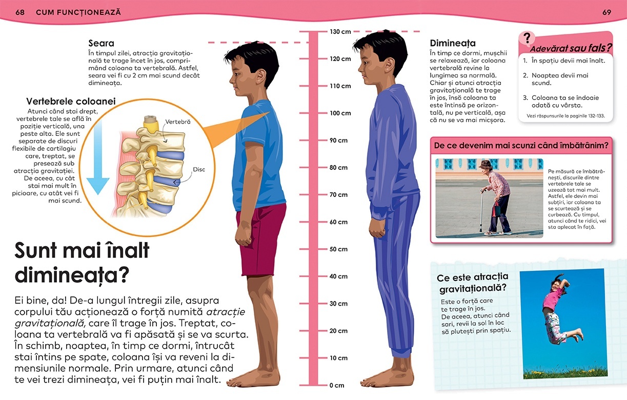 DE CE? Corpul uman - 2 | YEO