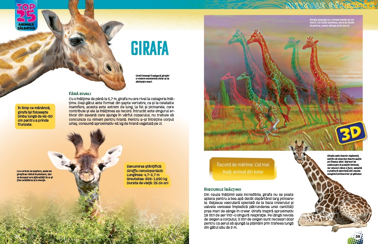 Top 25 Animale salbatice – Uriase 3D - 4 | YEO
