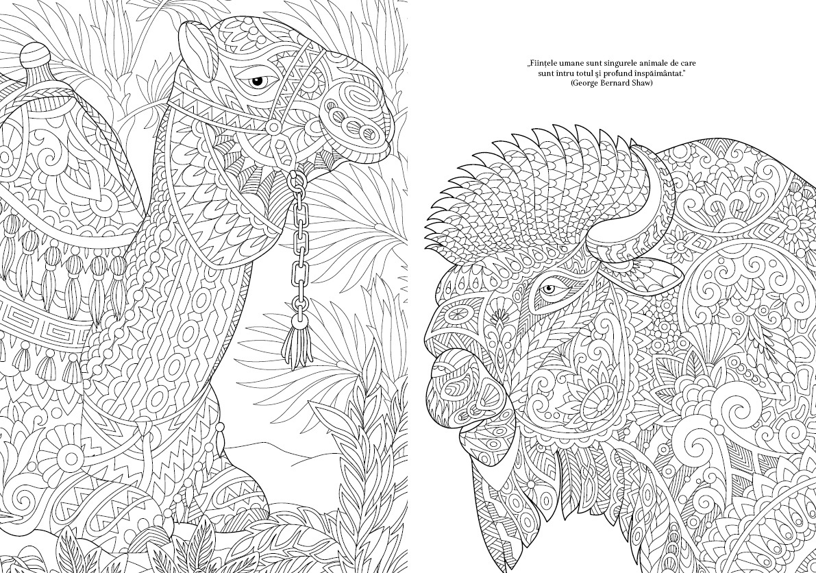 Animale culoare si magie - 3 | YEO