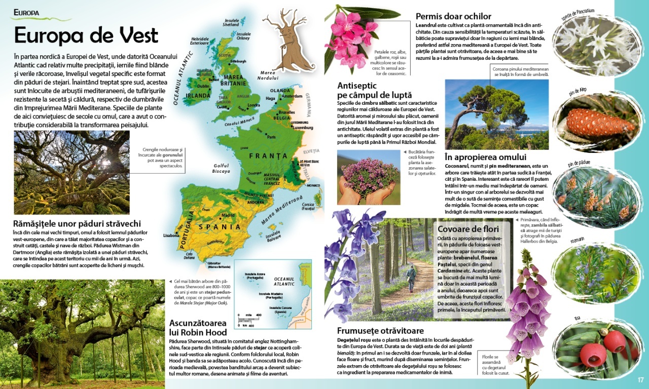 Calatorie in lumea plantelor - 1 | YEO