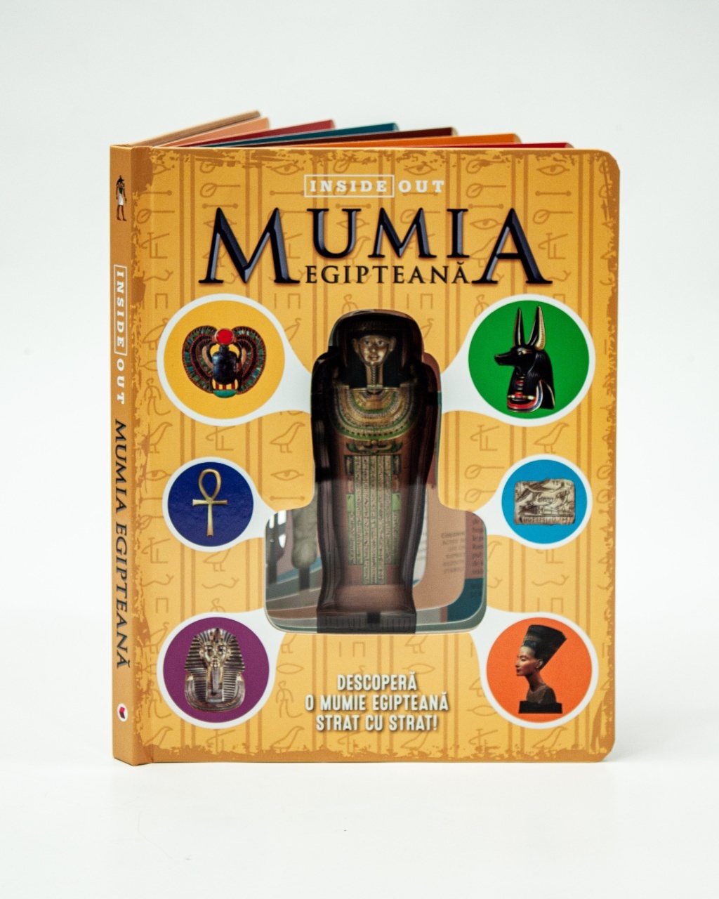 Mumia Egipteana 3D - 1 | YEO