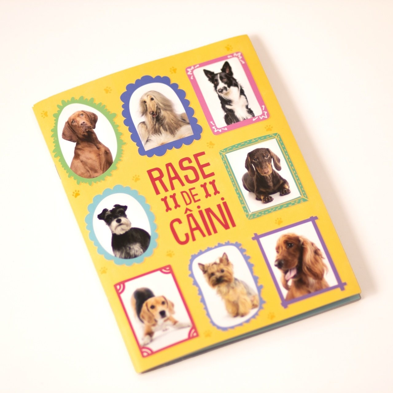 Pachet - Puzzle Mimorello - Lumea Cainilor - Câini GRATUIT - 2 | YEO