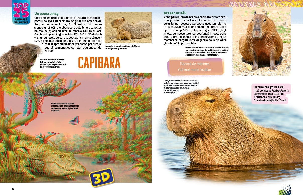 Top 25 Animale salbatice – Uriase 3D - 1 | YEO