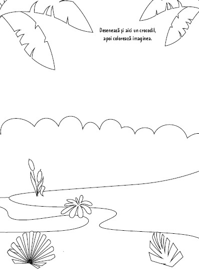 Animale - Desenam si coloram - 4 | YEO