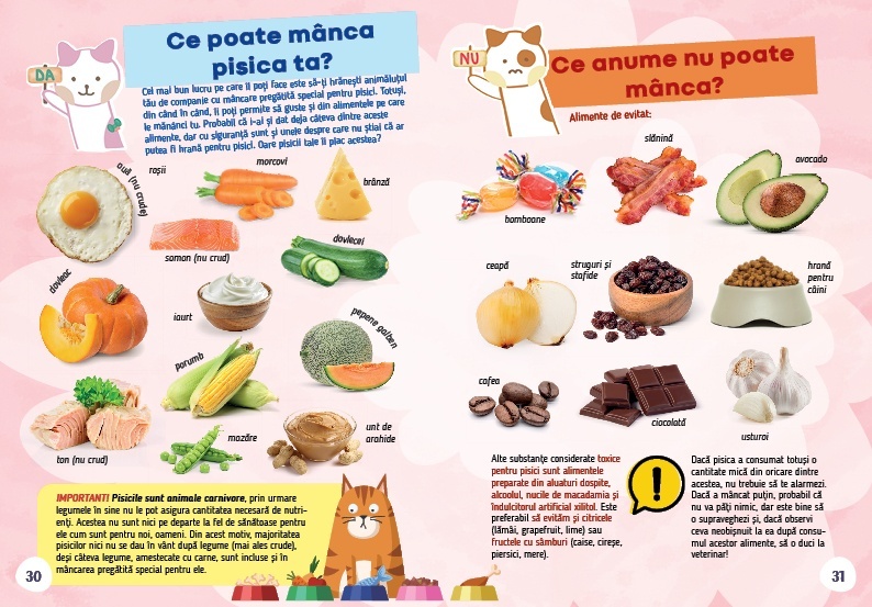 Cartea pisicutei mele - 4 | YEO