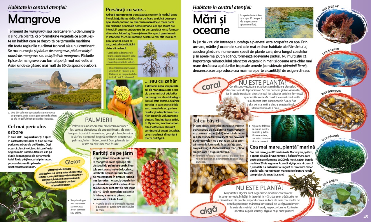 Calatorie in lumea plantelor - 5 | YEO