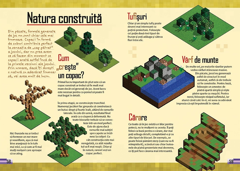 Manualul jucatorului Minecraft 5 - Arta construirii - 3 | YEO