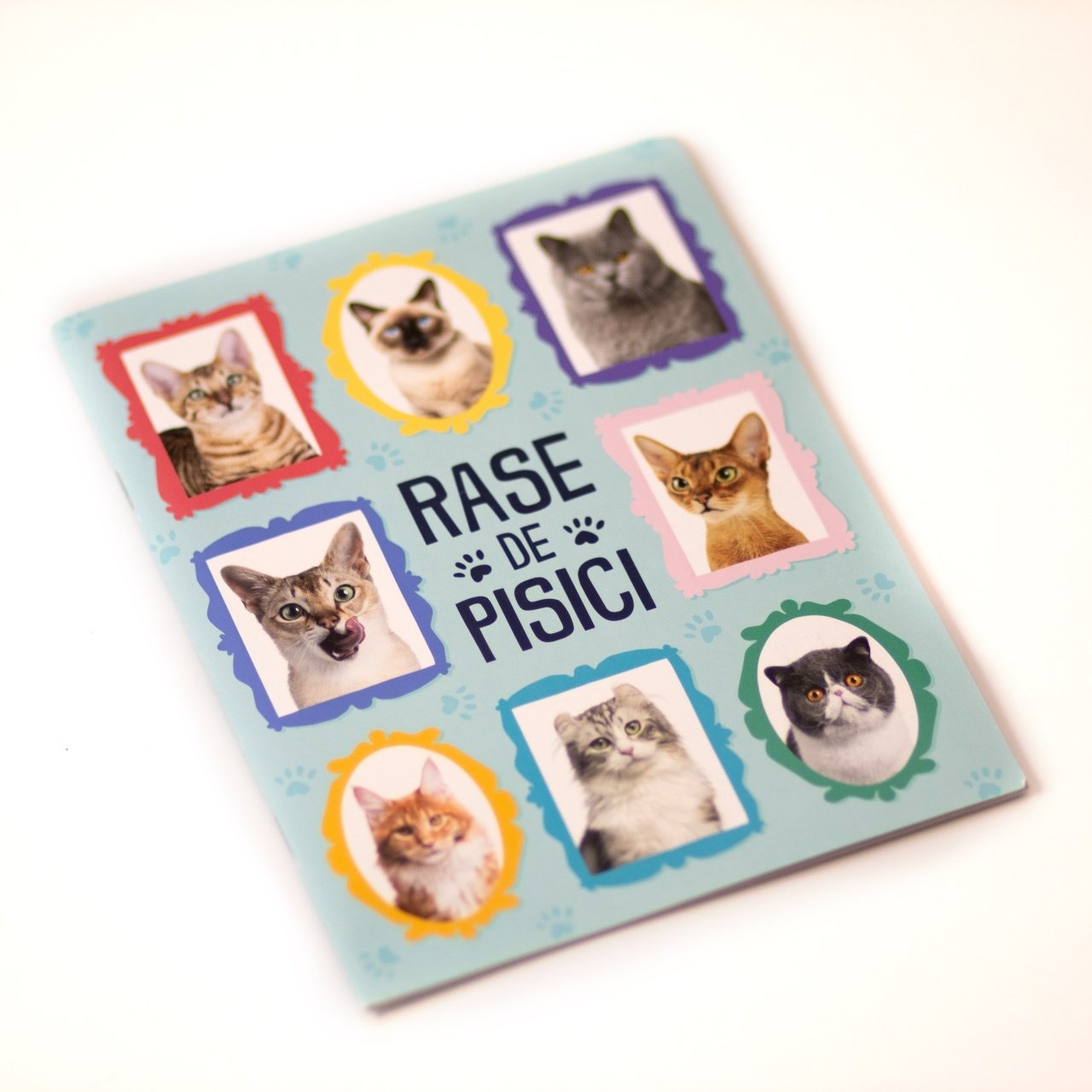 Pachet - Puzzle Mimorello - Lumea Pisicilor - Pisici GRATUIT - 2 | YEO